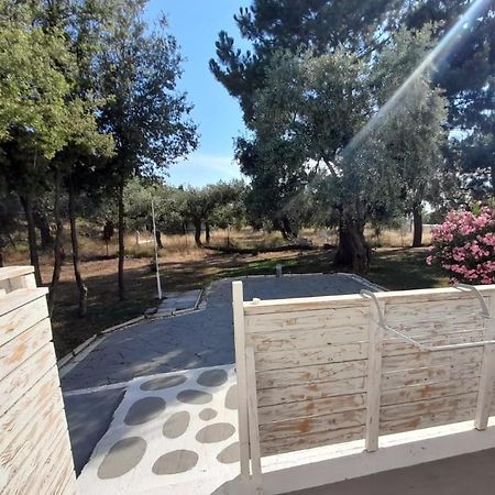 Orama Thassos Hotel Skála Sotíros Eksteriør billede